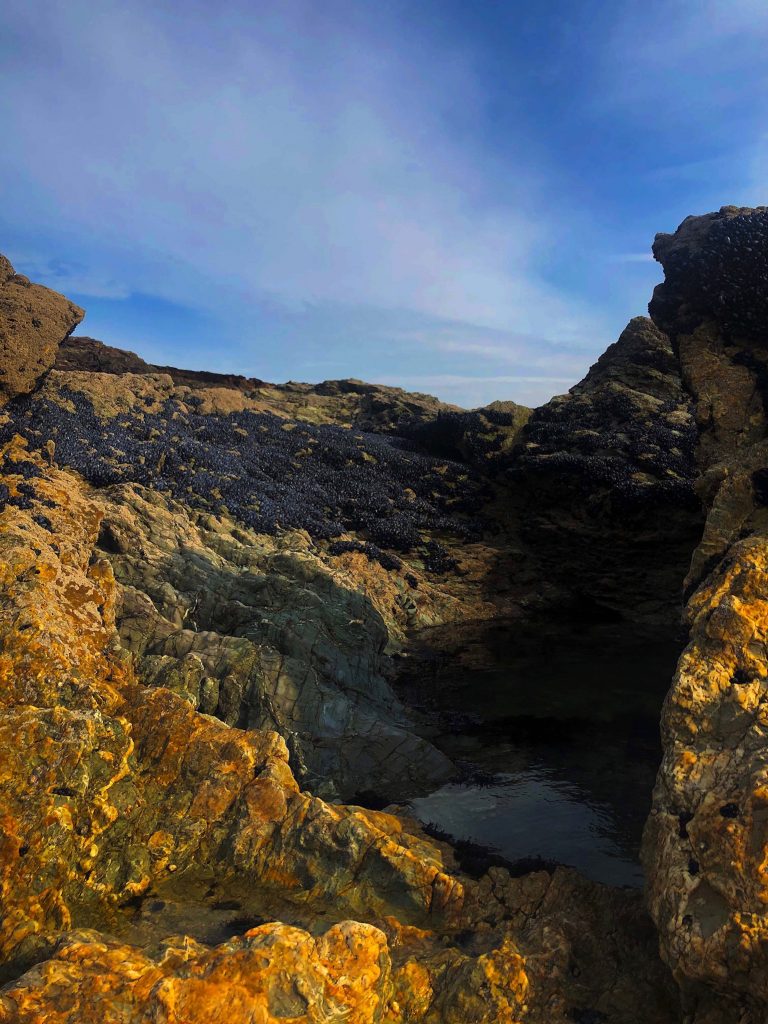 Polzeath Rock Pool