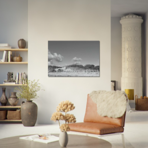 Daymer Black and White Days