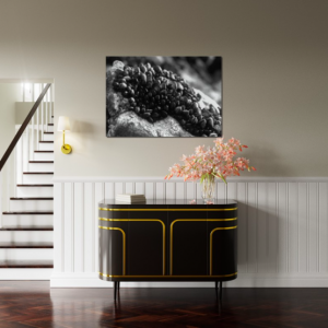 Polzeath Black and White Mussels